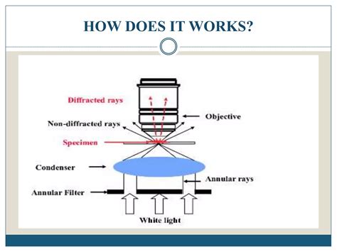 DARK FIELD MICROSCOPY | PPTX