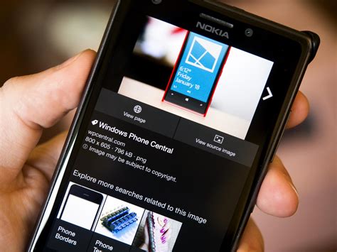 Bing Image Search 的图像结果