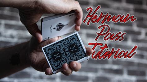 Herman Pass Tutorial 的图像结果