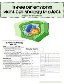 Image result for Cell Project Examples