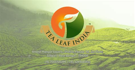 Tea Leaf India - Trusted Tea Procurement Partner