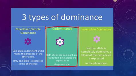 Image result for Incomplete Dominance Examples