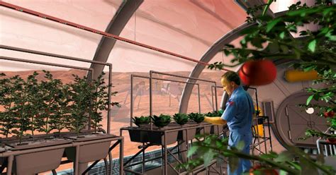 Humans Will Live In Giant Glass Domes On Mars And Even Have Robots For ...