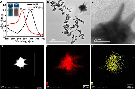 Institute of Nano Science and Technology