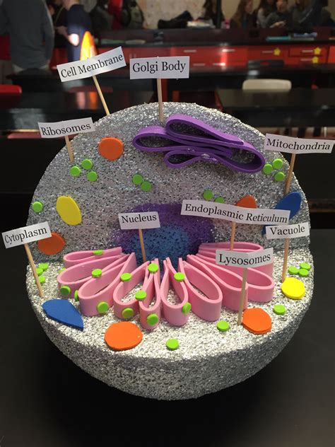 Pin by Michelle Broyles on project | Cell model project, Animal cell ...
