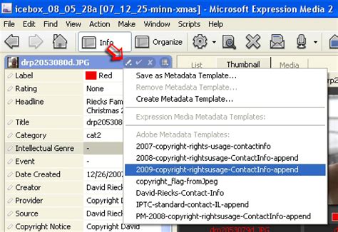 Metadata Template 的图像结果