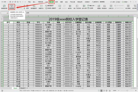 表格里筛选怎么操作_360新知