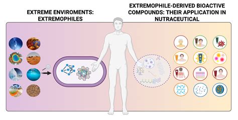 Extremophile-Derived Bioactives in Cosmeceuticals: Bridging ...