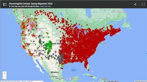 Image result for Hummingbird Tracking Map