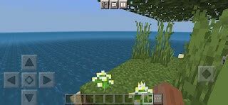 Image result for Minecraft Max Build Isla