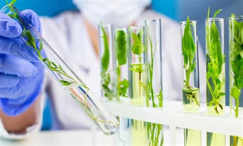 Top 20 colleges for Biotech in Germany