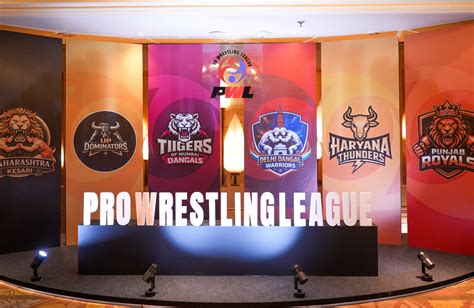 Pro Wrestling League 2026 auctions rewrite records with INR 11 crore ...