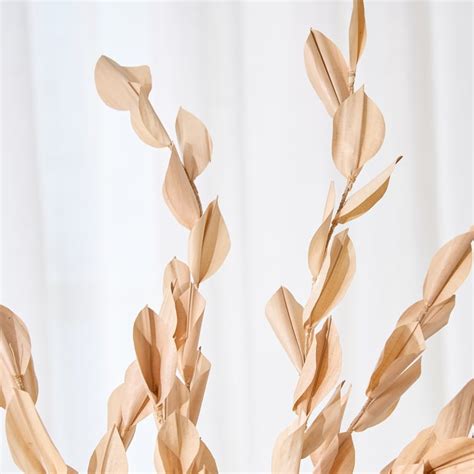 Buy Festoon Natura Set of 3 Dried Leaves - 100cm from Home Centre at ...