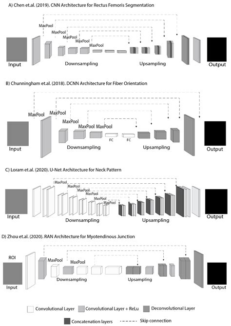 A Review of the Challenges in Deep Learning for Skeletal and Smooth ...