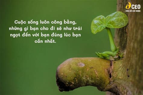 AMBIL SEKARANG
