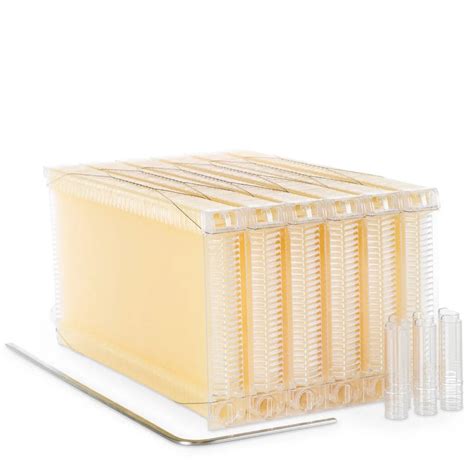 Image result for Flow Hive eBay