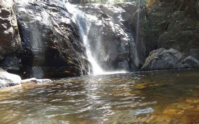 Online Shopping From Local Stores in Kerala, Trivandrum | Groceries ...