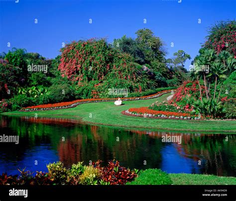 Cypress Gardens Florida USA Stock Photo - Alamy