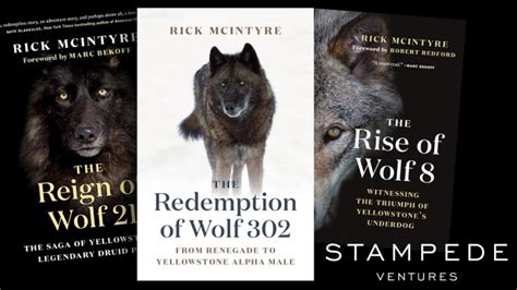 Image result for Yellowstone Wolves Book