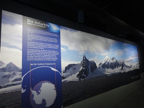 ZooLex Image - Attunement to the Antarctic