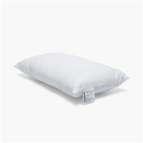 Buy Harmony Solid Fillers - Set of 2 - 30 x 50 cm from Home Centre at ...