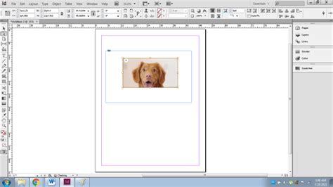 Image result for InDesign Resize Images Controls
