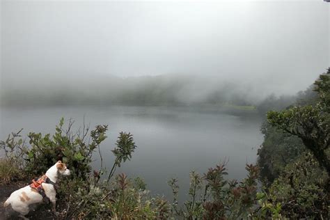 2026 Walk to Laguna El Cerro (Macheta) - with Reviews & Photos