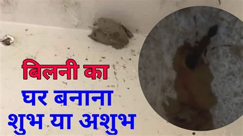 Gradnja kuće od bilnija je povoljna ili nepovoljna / Što se događa ...