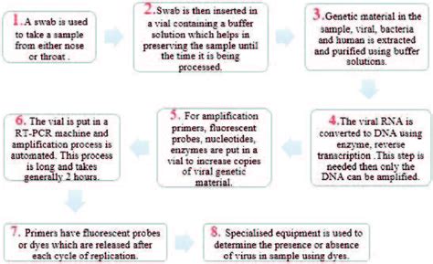 RT-PCR Method 的图像结果