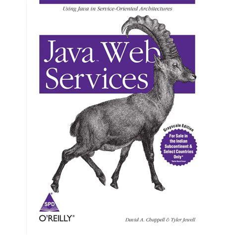 Java web services service oriented architectures