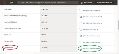 Java 64-Bit Mac 的图像结果