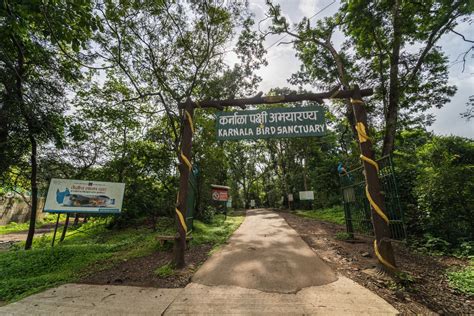 Witnessing The Wildlife Of Maharashtra: A Birders Paradise