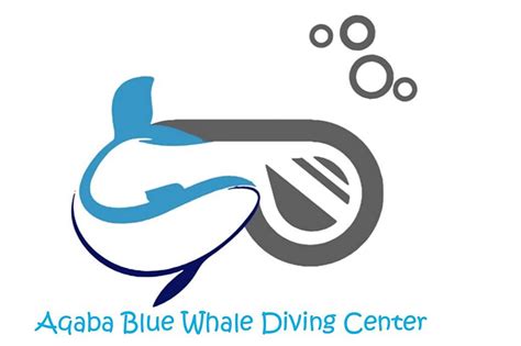 AQABA BLUE WHALE DIVING CENTER (2026) All You Need to Know BEFORE You ...