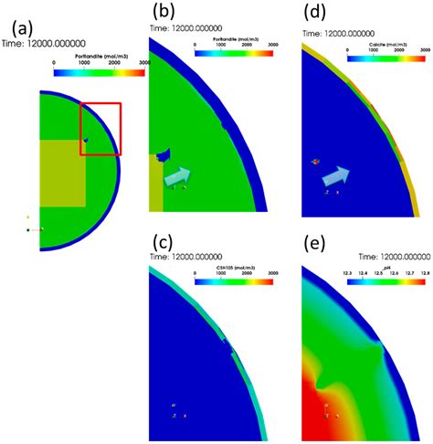 A Coupled Modeling Simulator for Near-Field Processes in Cement ...