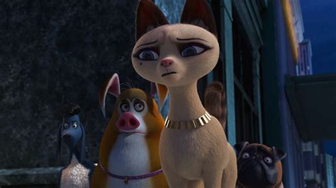 Cats Tees 的图像结果