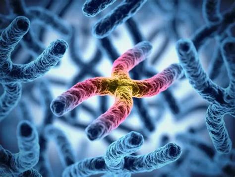 Gaucher disease