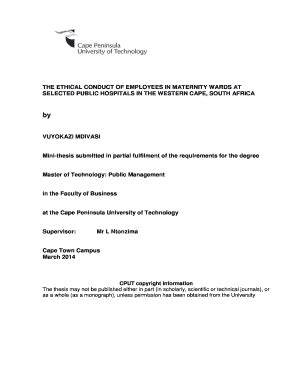 TITLE OF THESIS - Digital Knowledge - Cape Peninsula University ...