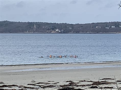 Jan 29 ‘23 Niles Beach Day – Good Morning Gloucester