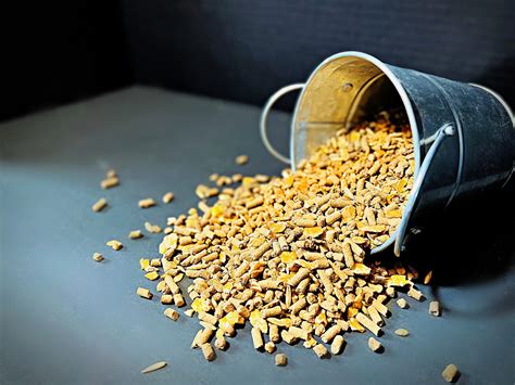 Feed - Alaska Farm Supply