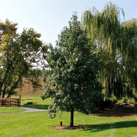 OPPD ARBORETUM (2024) All You Need to Know BEFORE You Go (with Photos ...