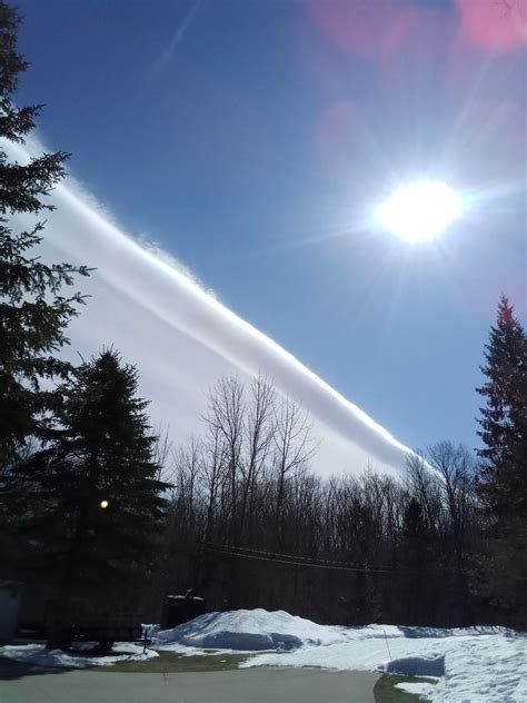 Aunt saw this about two or three weeks ago. Any idea what it is? : r ...