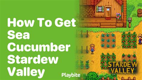 How to Get Sea Cucumber in Stardew Valley - Playbite