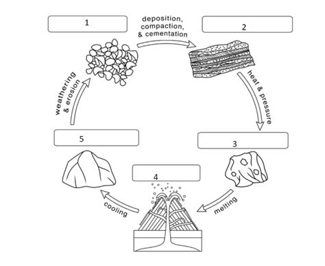 Science Cycle 的图像结果
