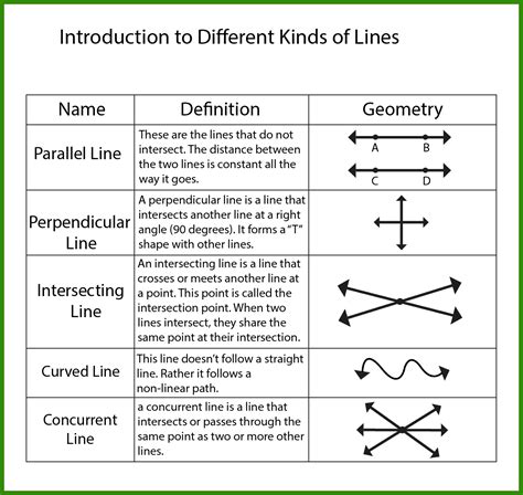 Types Of Lines Worksheet Grade 4 at Faith Tart blog