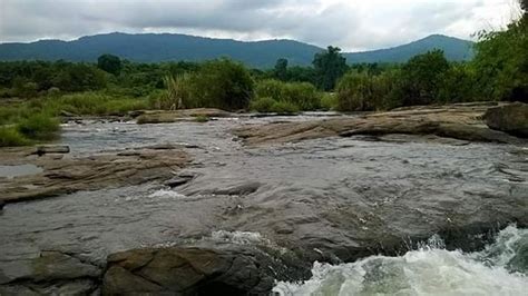 Paniely Poru (Ernakulam) - 2021 What to Know Before You Go (with Photos ...