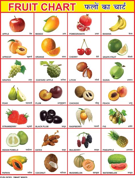Eoi Marketing English Fruits Chart For Kids | 28X40 Inch | Laminated ...