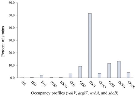 Variability in the Occupancy of Escherichia coli O157 Integration Sites ...