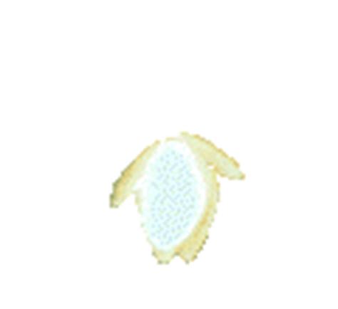 O szkole | Szkoła Podstawowa Nr 9 w Gliwicach