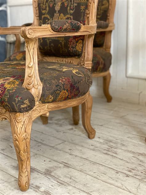 Pair of rococo fauteuils~ – Parrot & Lily
