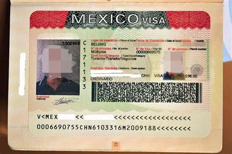 墨西哥旅游签证案例,墨西哥旅游签证办理流程 -办签证，就上龙签网。